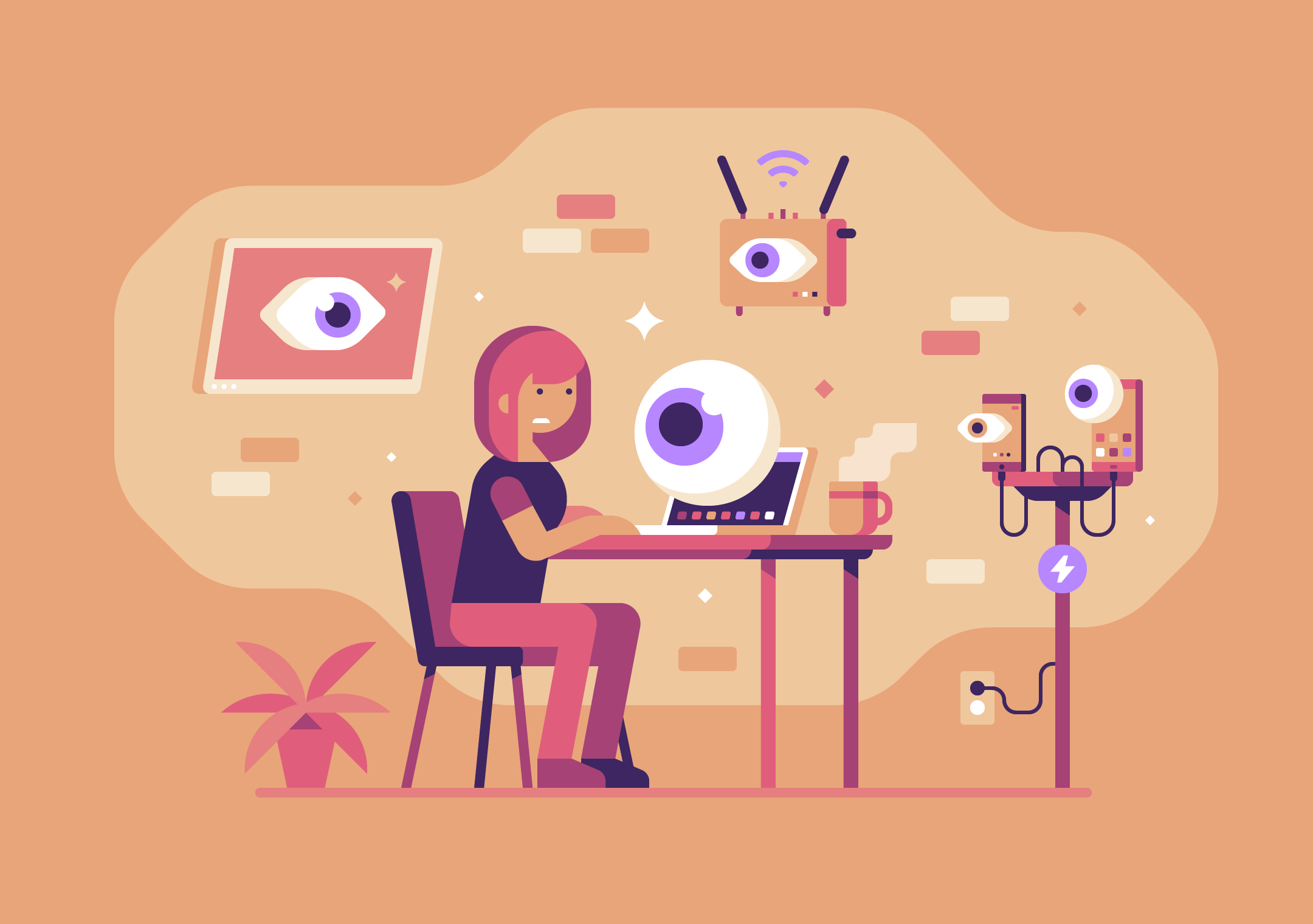 Privacy Risks